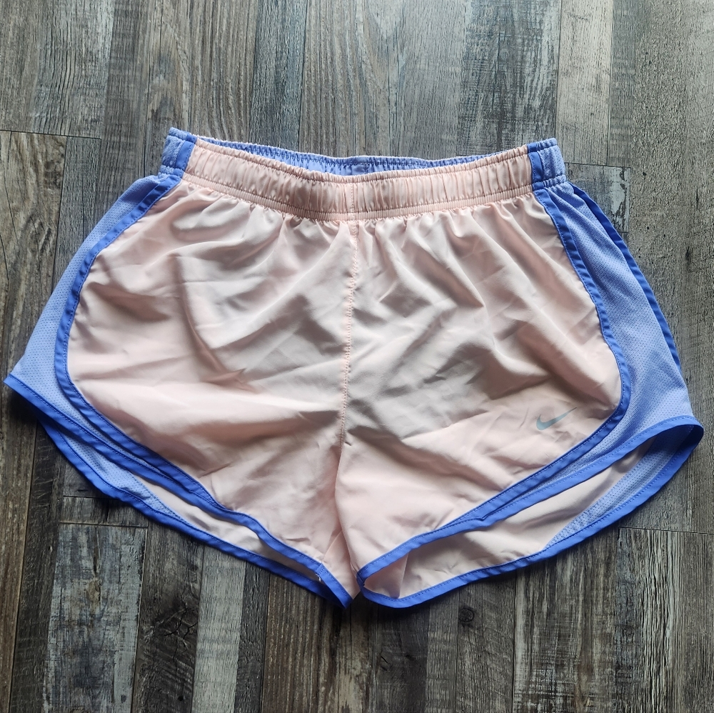 Nike Light Blue and Pink Dri-FIT Shorts